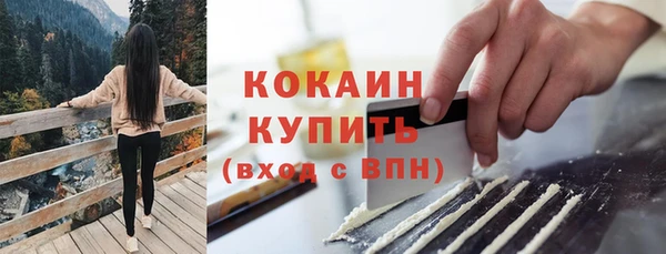 PSILOCYBIN Волосово