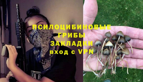 таблы Алексин