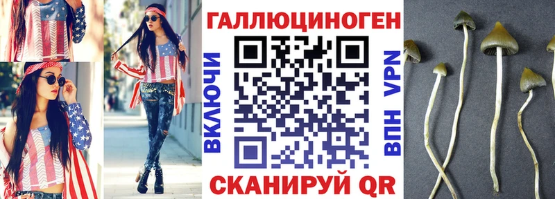 закладка Кинель Галлюциногенные грибы Cubensis